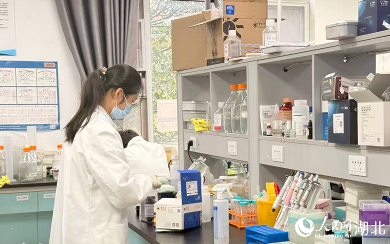 学生正在实验。人民网记者 张隽摄